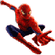SPIDER MAN